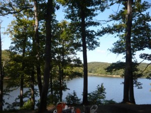 geee, my first Turkish forest! let´s dance...in October