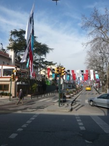 love flags in February