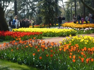 Lale here lale there :D April